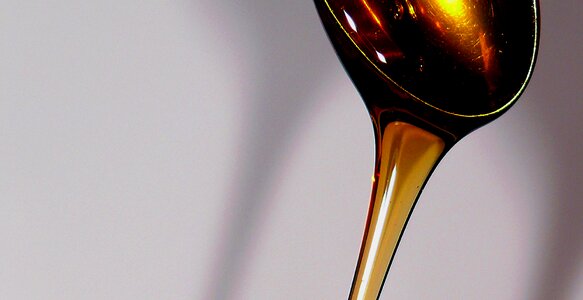 Honeyed nectar honey dipper photo