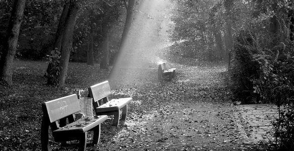 Go for a walk relax bench