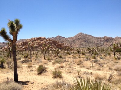 Southwest dry