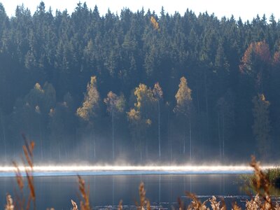 Sweden autumn lake photo