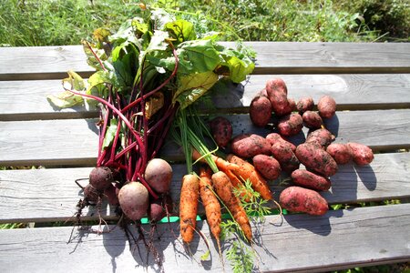 Vegetables potato beetroot