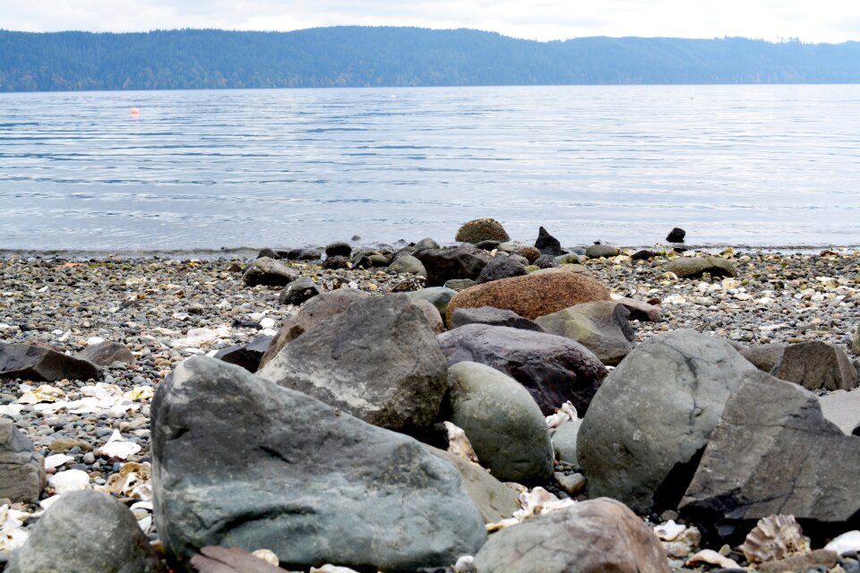 Rocks coast scenery