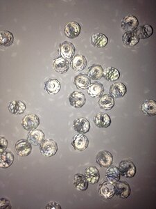 Crystals jewelry gems