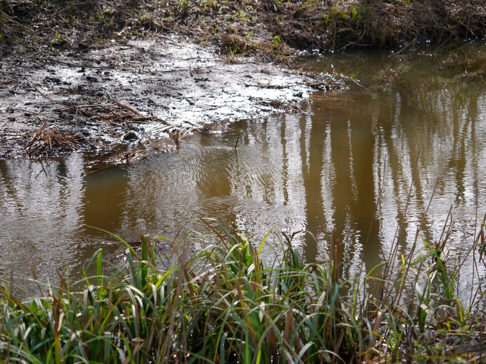Water background creek outdoor