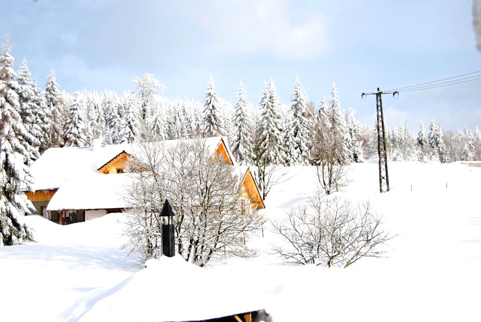 Nature landscape frost