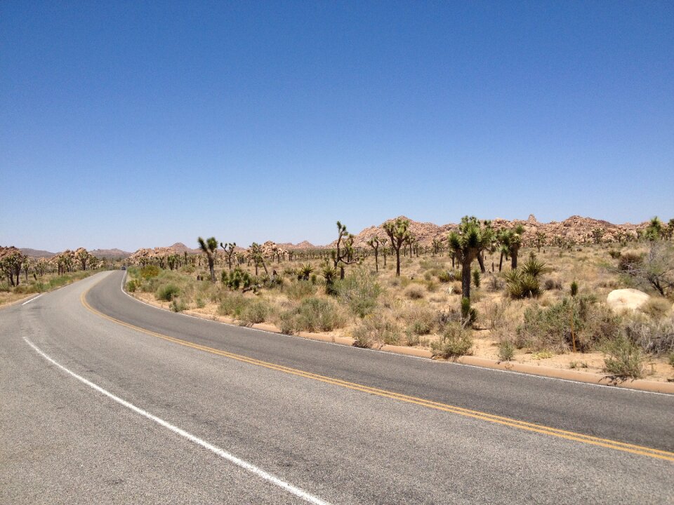 Desert landscape