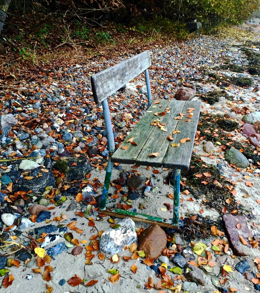 Seasons nature bench