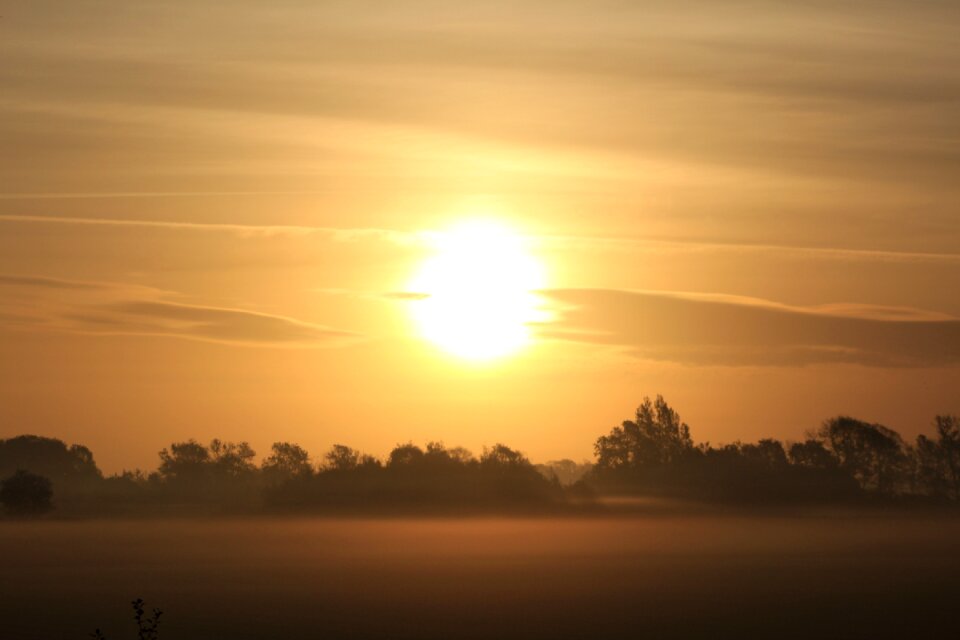 Mood nature morning sun