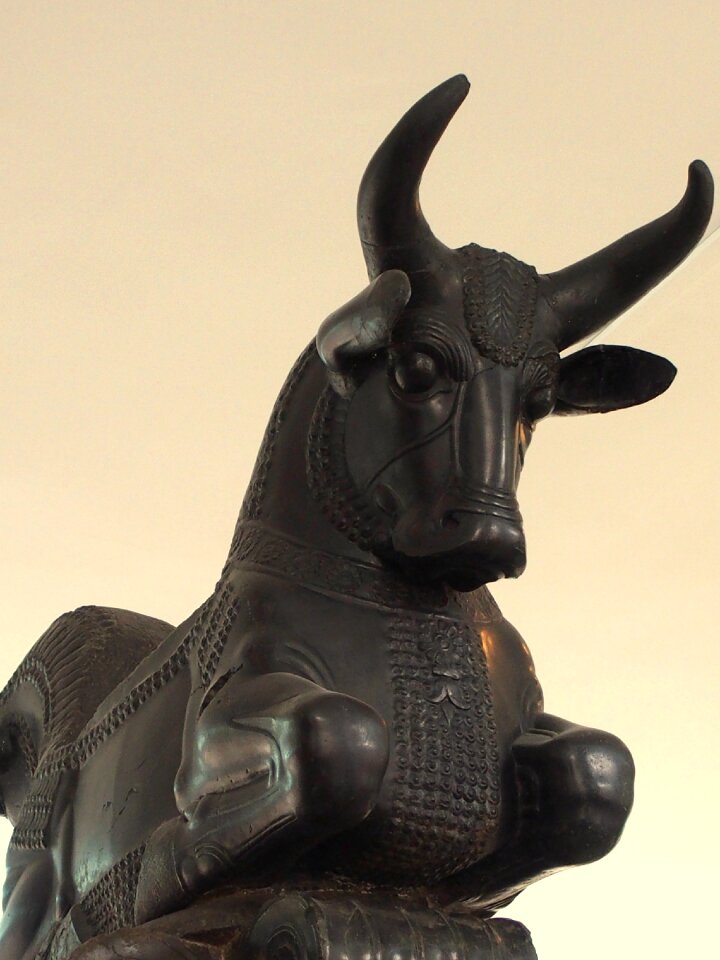 Persepolis iran animal figure