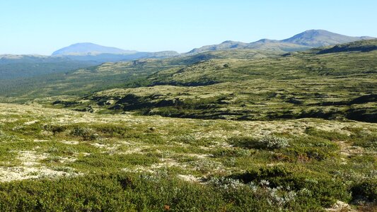 Tundra sandbekkdalen kvikneskogen