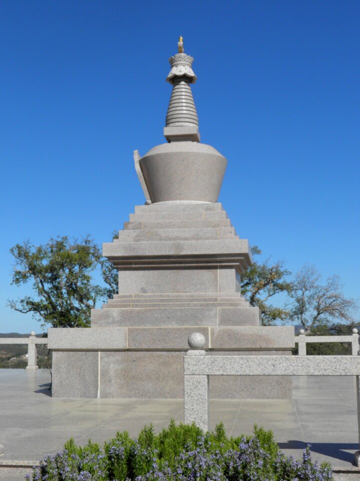 Symbol buddhism tibetan