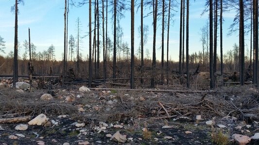 Västmanland fire burned
