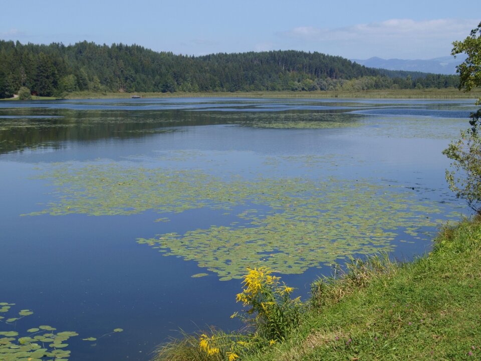 Landscape forest mirroring photo