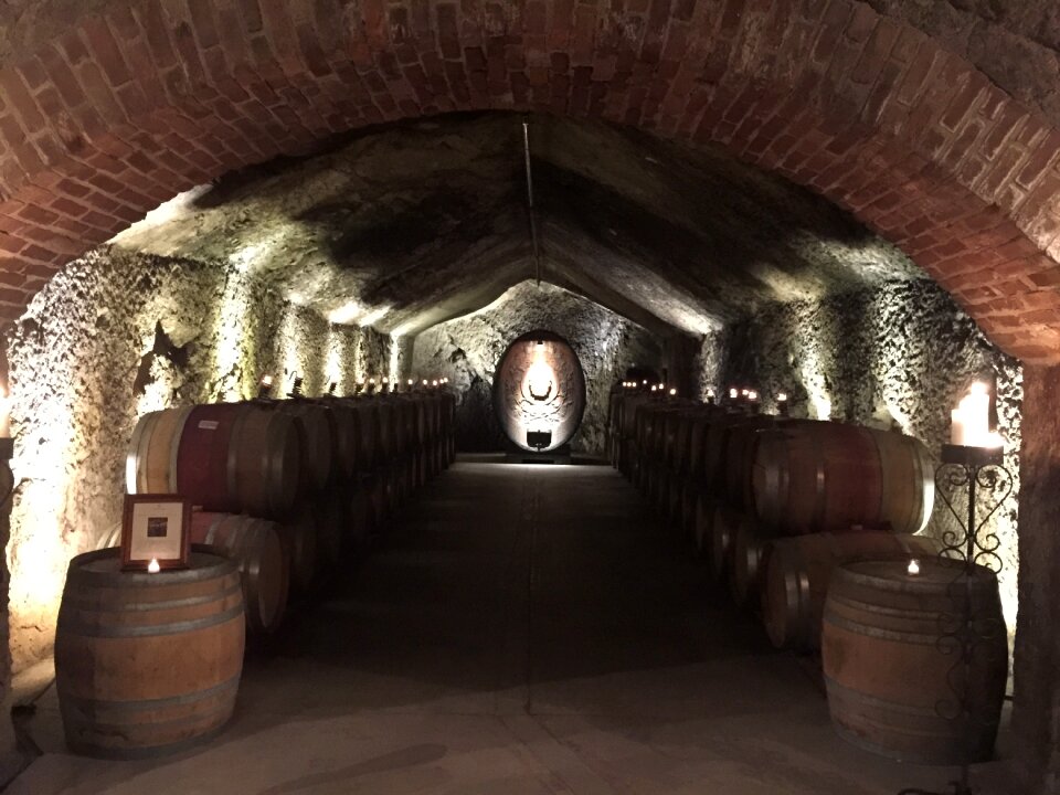 Cellar winery brown wine