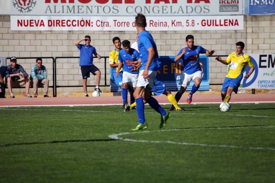 Stadium football sports