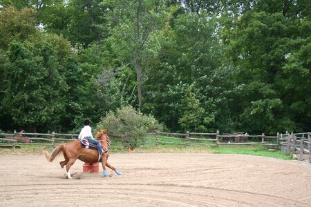 Barrel rodeo cowgirl photo