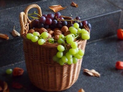 Fruit nature harvest