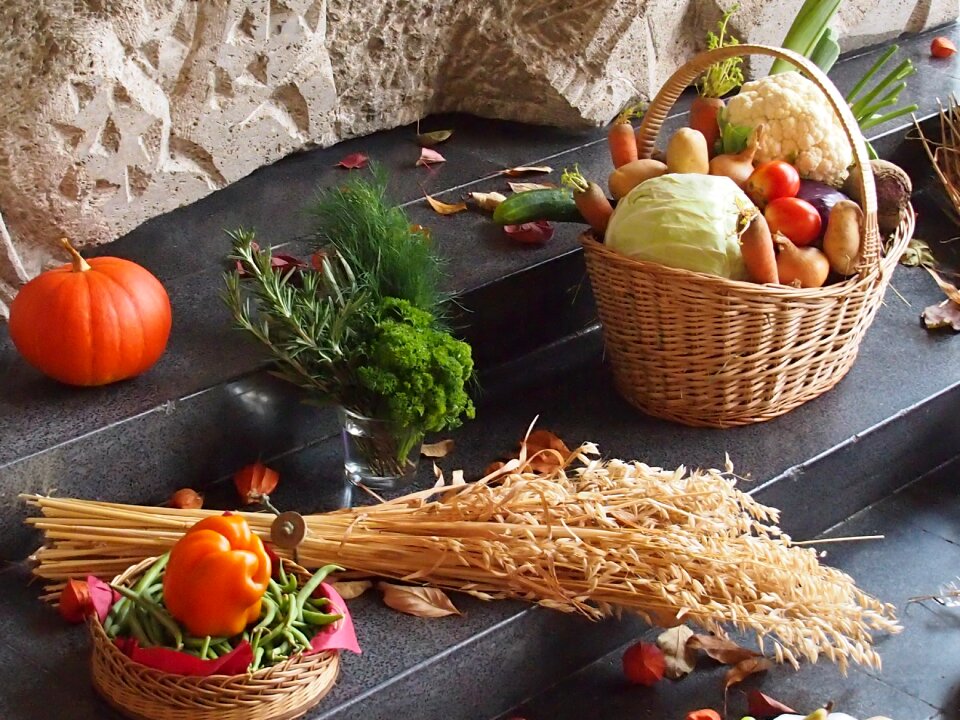 Food agriculture autumn