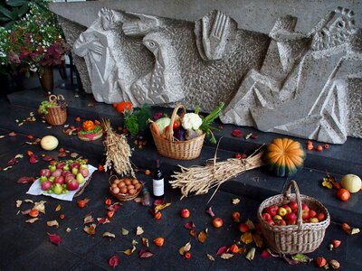 Fruit vegetables cereals
