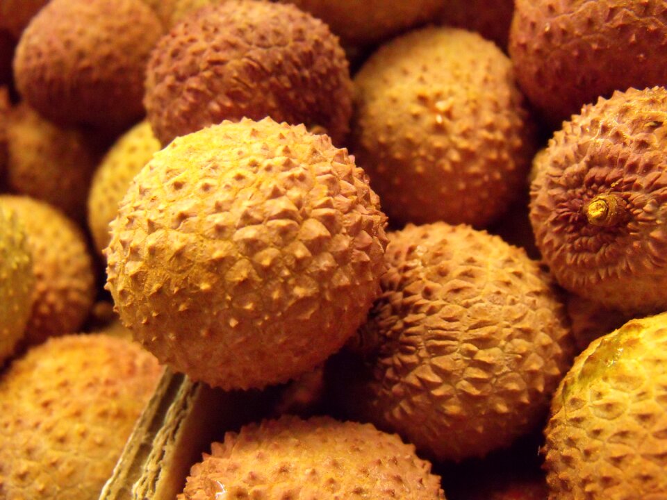 Fruit litchi exotic fruits