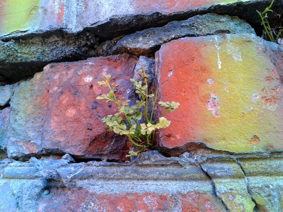 Brick plant building