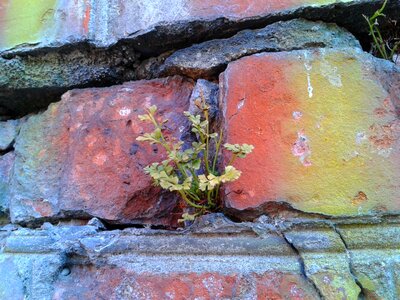 Brick plant building