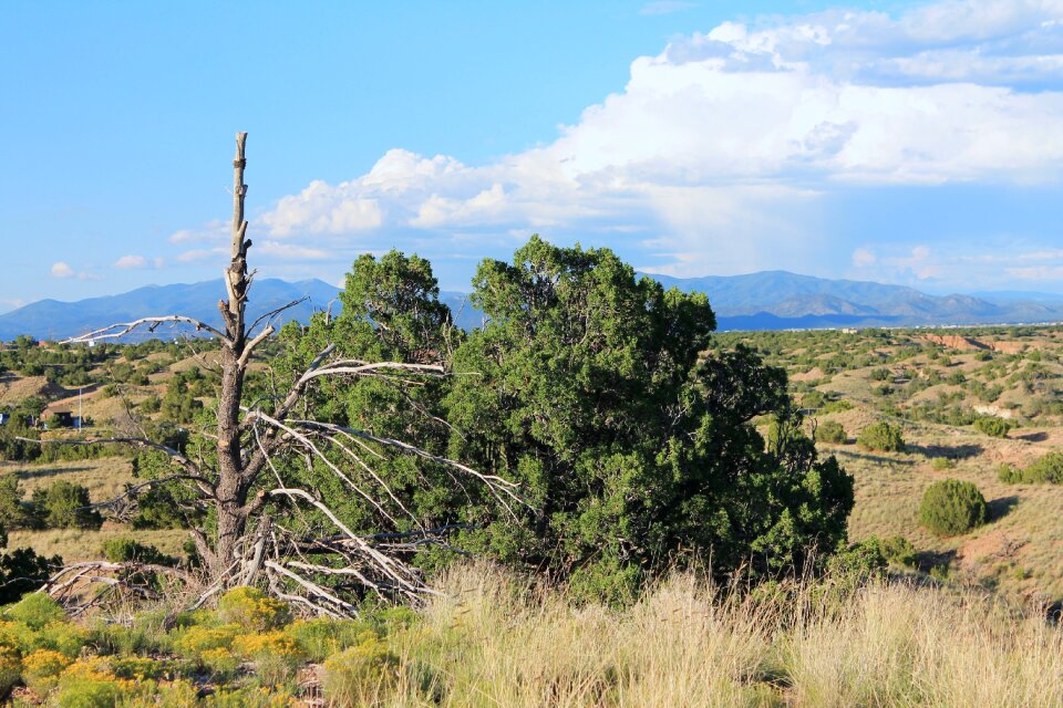 Southwest nature scenic