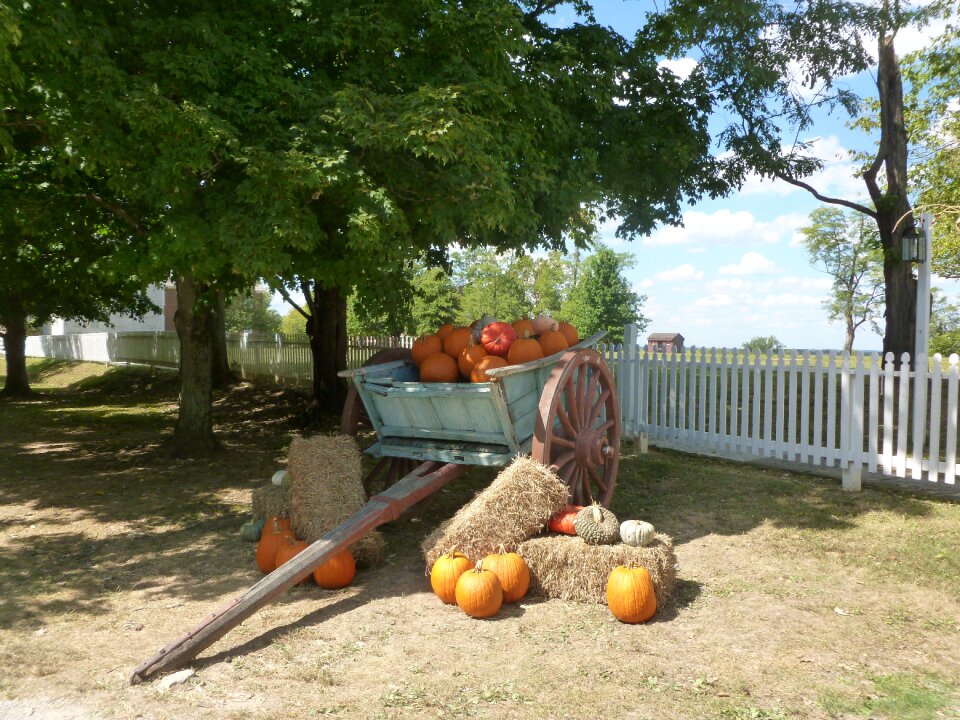 Village carriage