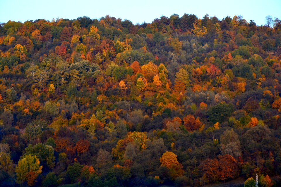 Colors hills nature