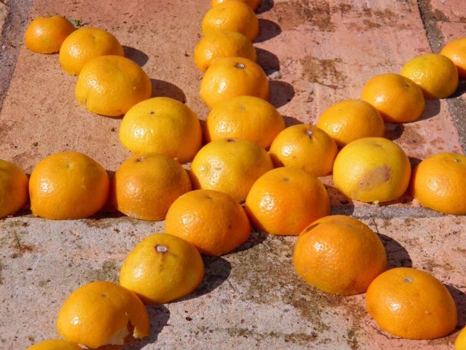 Orange christmas decoration
