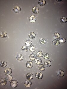 Crystals jewelry gems