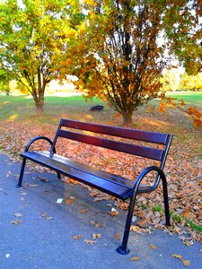 Bench autumn nature