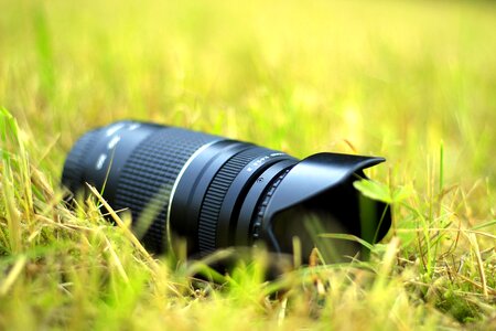 Camera lens wildlife