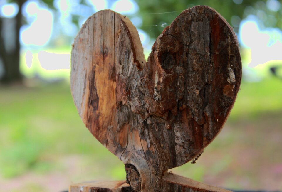 Wood nature wooden structure