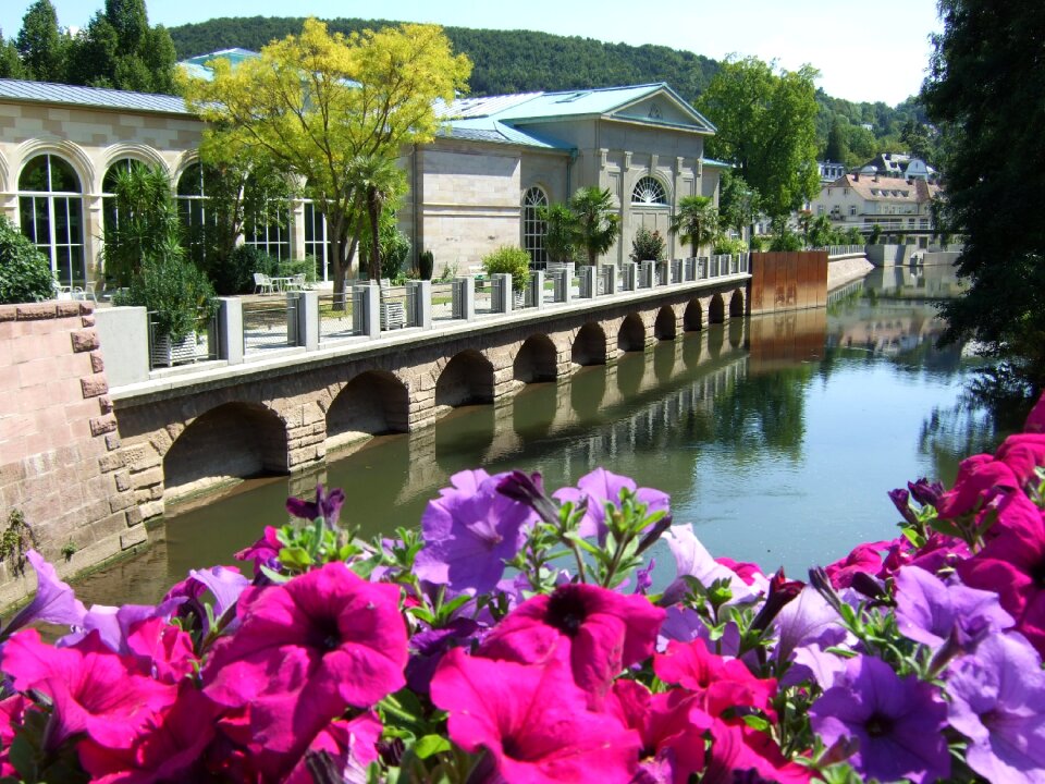 Flowers river nature