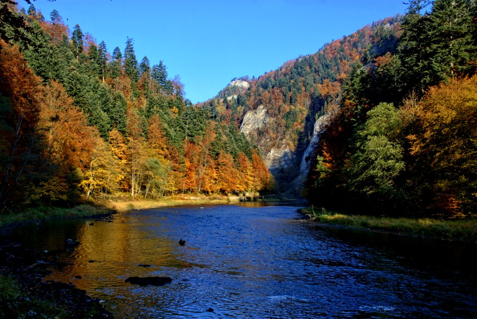 Colors view nature