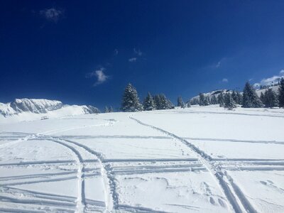 Nature snowy ski photo