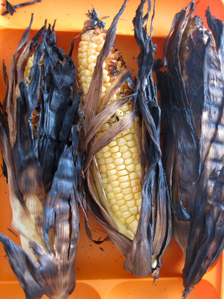 Yellow indian maize