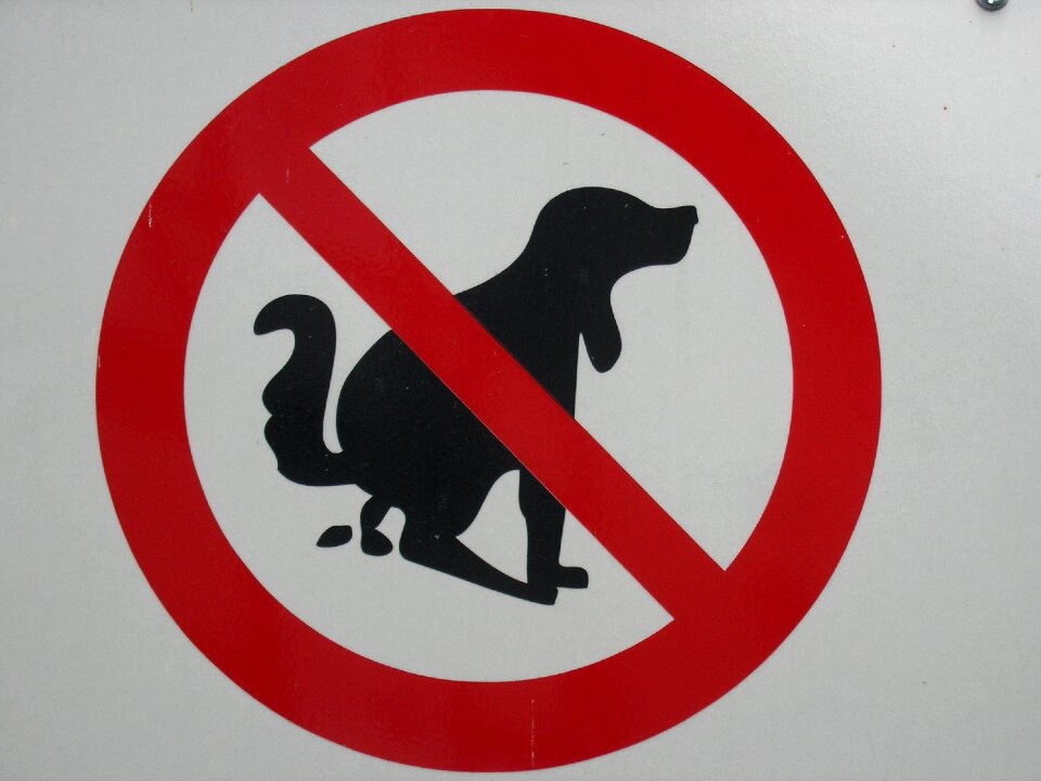 Shield hundehaufen ban