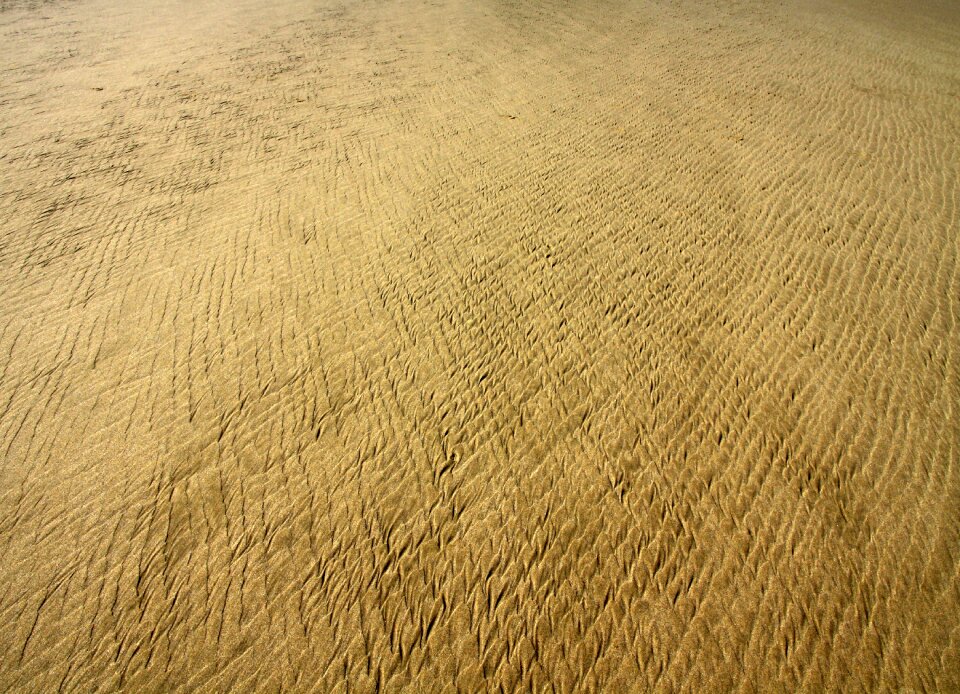 Beach nature sea