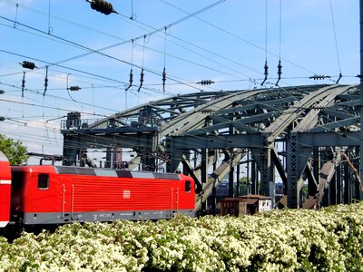 Train catenary hohenzollern bridge photo