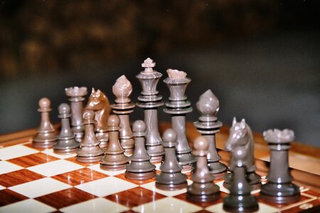 King chess pieces lady photo