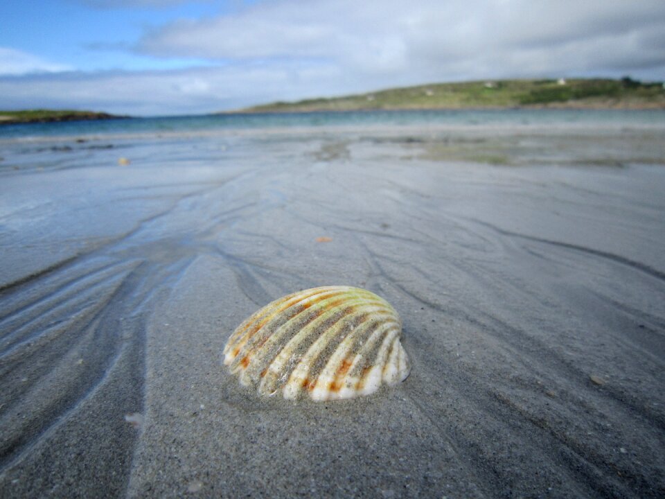 Sand beach ireland