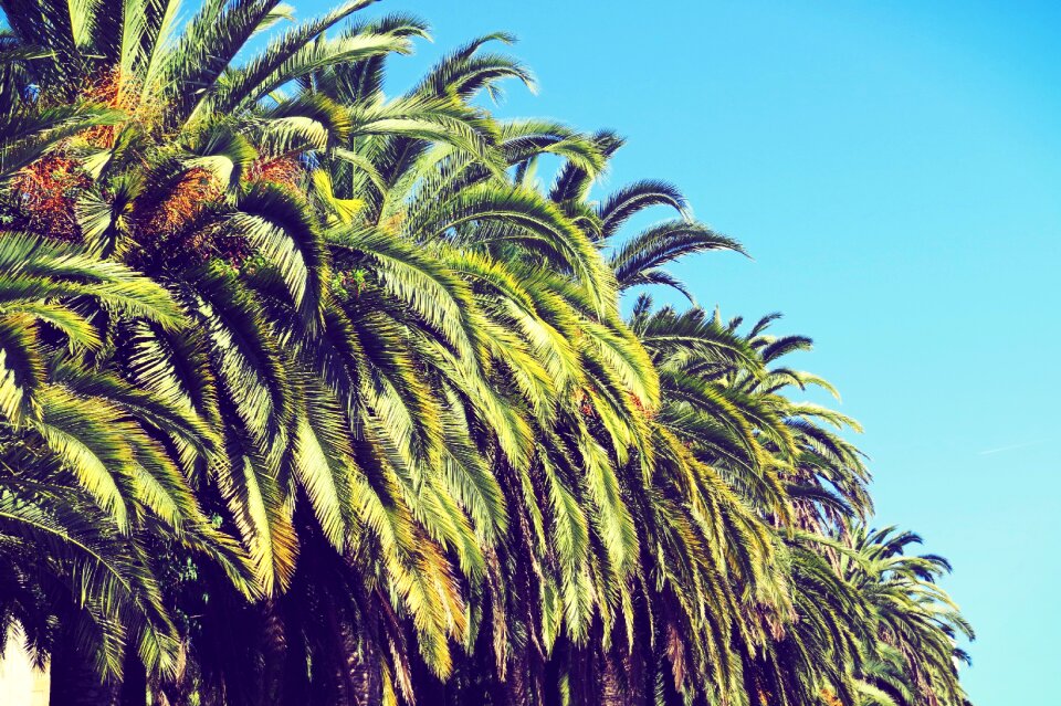Summer spain