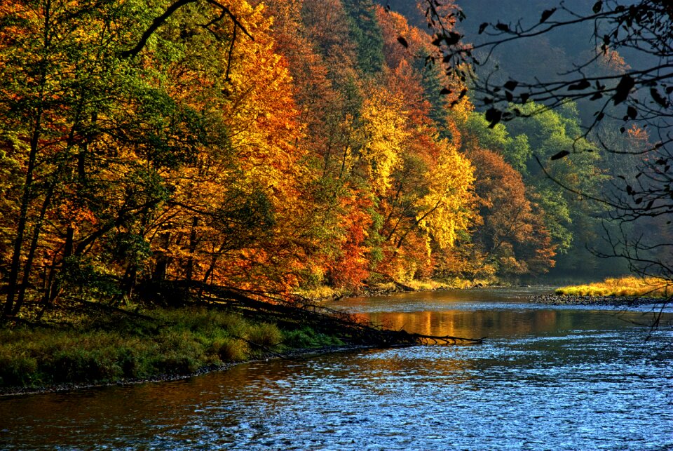 Colors view nature