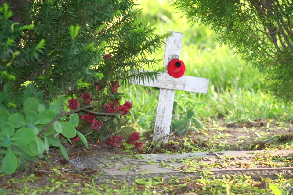 Cemetery remembrance day green cross
