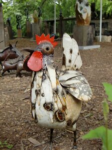 Free range colorful decoration