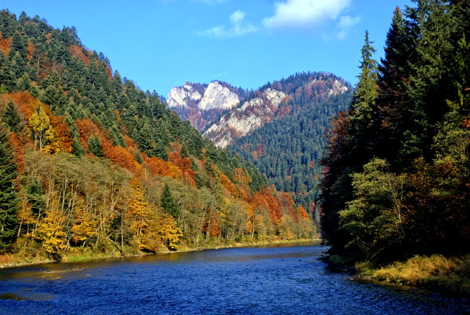 Autumn leaves colors view