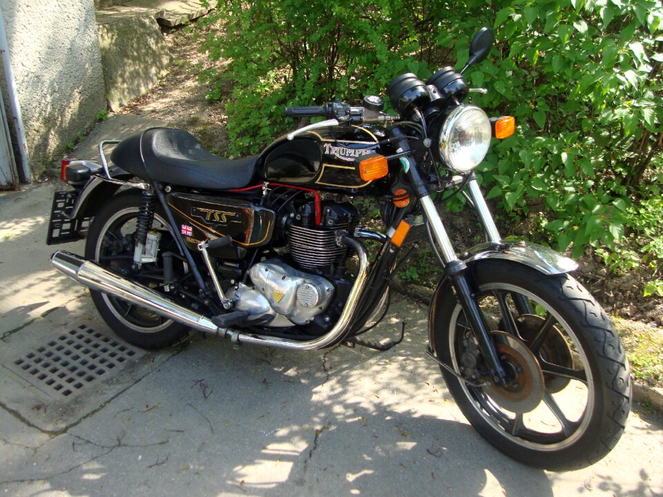Bike motorsport victory
