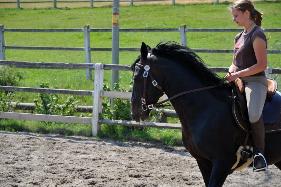Black gallop reiter